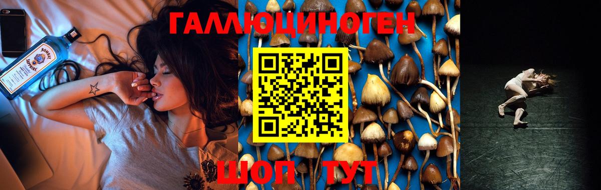 Псилоцибиновые грибы Psilocybe Хабаровск
